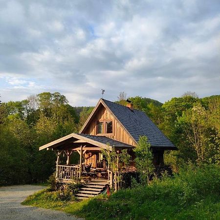 Domalek Pod Zlotym Kogutem Villa Кудова-Здрой Екстериор снимка