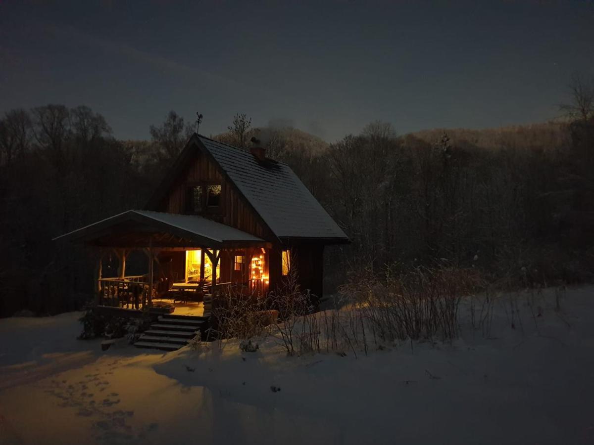 Domalek Pod Zlotym Kogutem Villa Кудова-Здрой Екстериор снимка