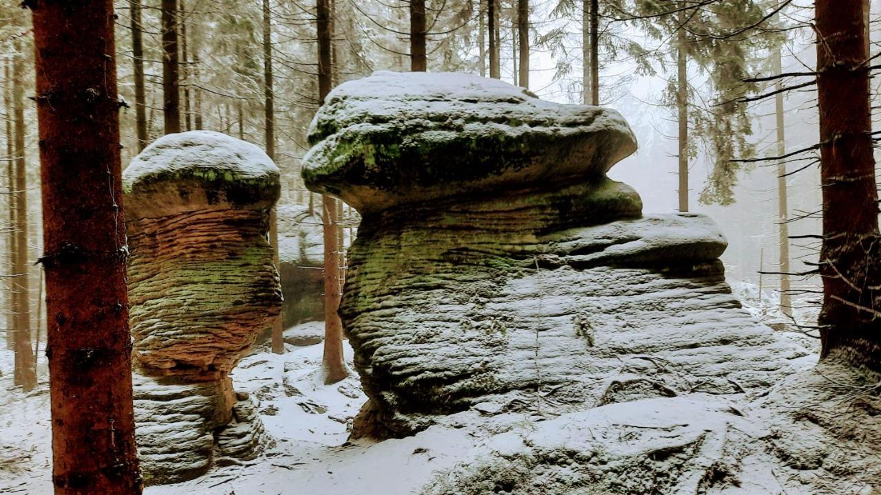 Domalek Pod Zlotym Kogutem Villa Кудова-Здрой Екстериор снимка