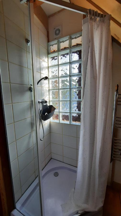 Domalek Pod Zlotym Kogutem Villa Кудова-Здрой Екстериор снимка